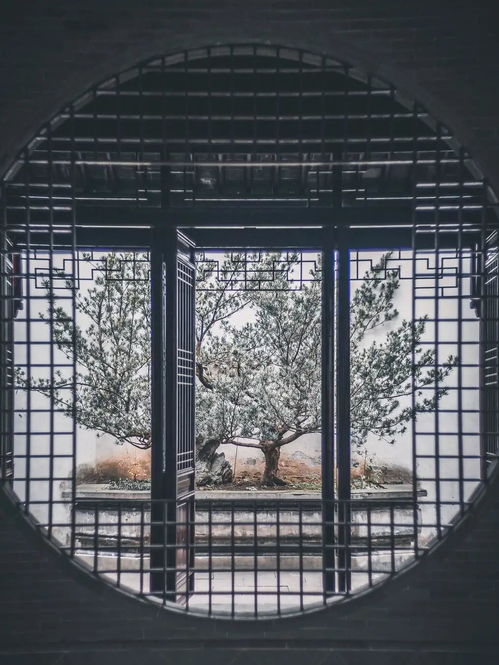 九游娱乐官方网站：沉浸式做什么项目赚钱(图1)