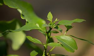 AR游戏行业现状：AR游戏正逐渐成为一种主流的类型(图6)