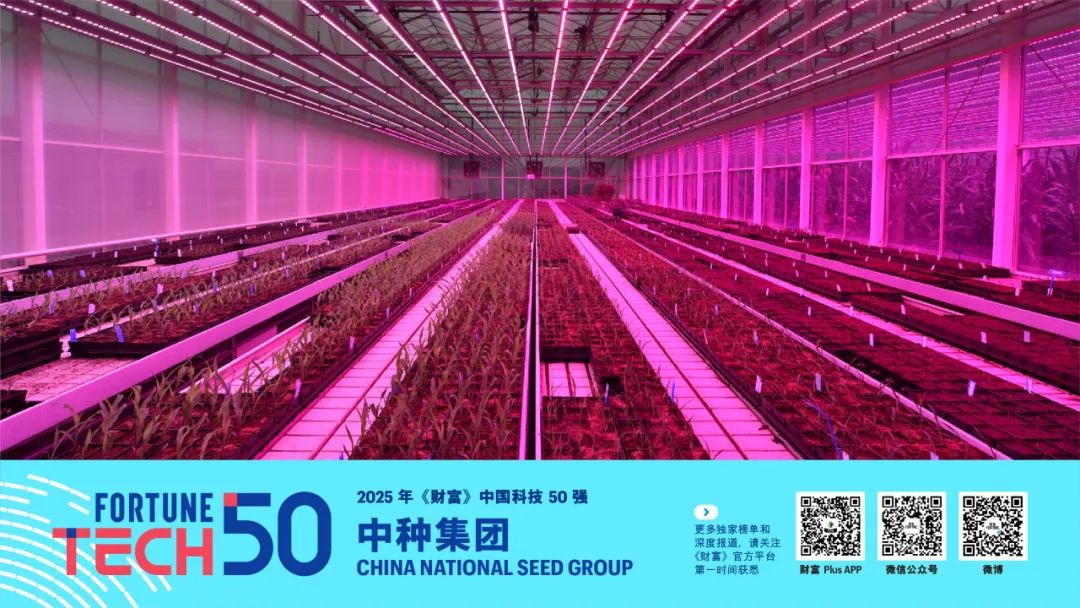 2025年《财富》中国科技50强(图1)