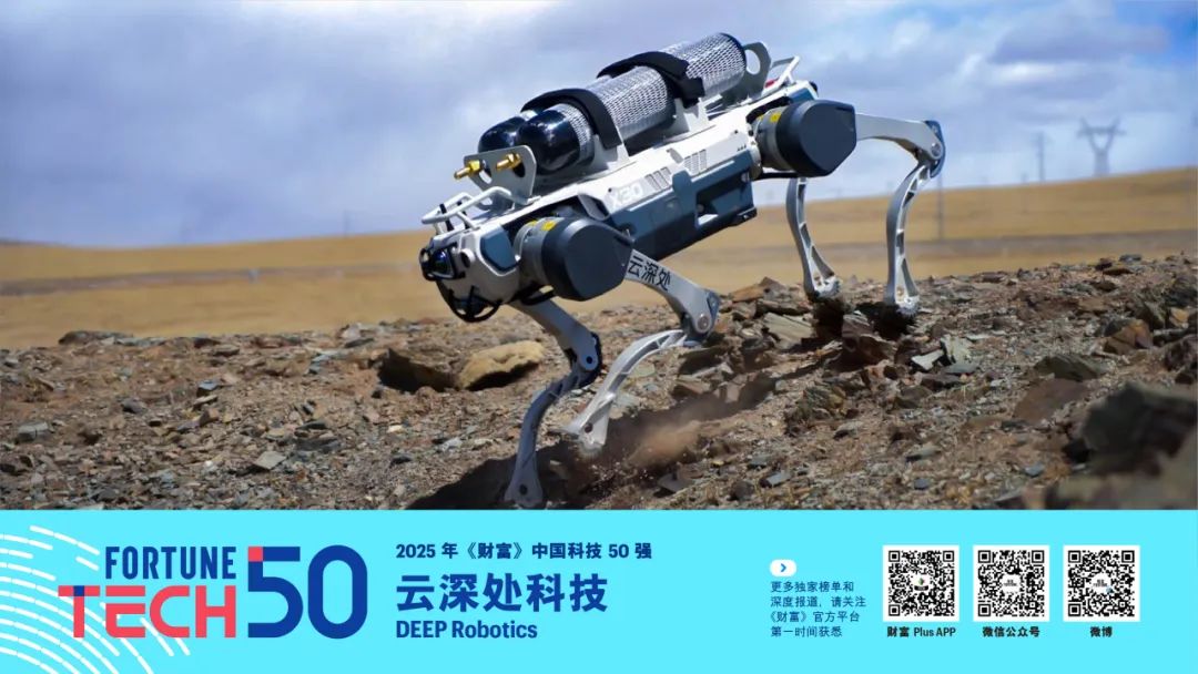 2025年《财富》中国科技50强(图8)