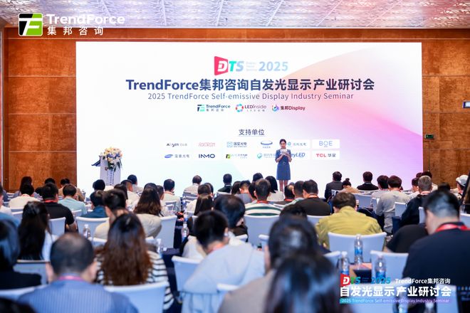 九游app：解锁市场展望与机遇2025自发光显示产业研讨会核心亮点全览(图1)