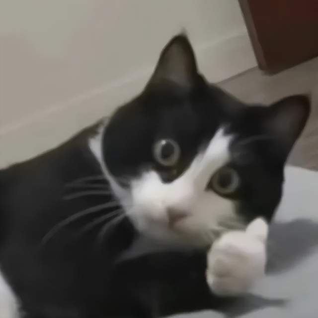 九游手机娱乐：原神LOL齐聚的Unity开发者大会我看到了AI游戏的未来(图4)