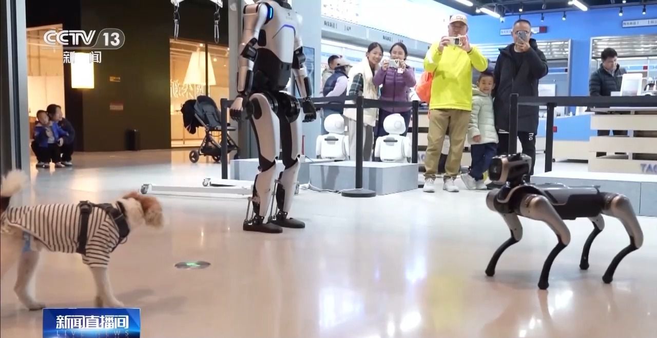 AI宠物、AI眼镜……“科技+”如何改变日常生活？(图5)