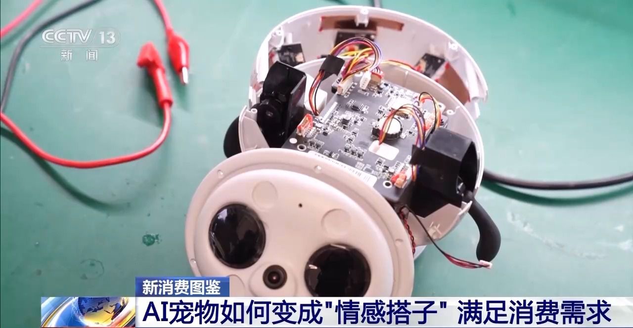 AI宠物、AI眼镜……“科技+”如何改变日常生活？(图8)