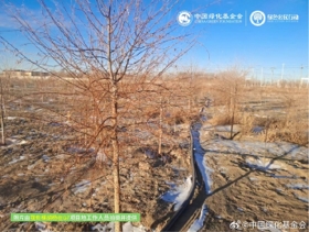 九游app：社会责任报告：公益数量增111%游戏企业公益履责朝3个方向优化(图40)